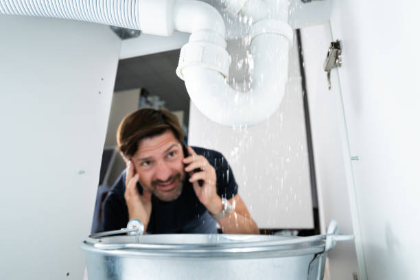 Best Same-Day Plumbing Service  in Trenton, TN